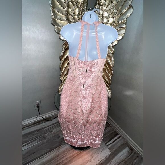 Gorgeous Sue Wong Nocturne Size 2 Pink Dress - Picture 8 of 16